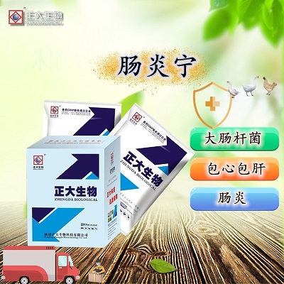 鸡肠毒综合征的症状图片有哪些